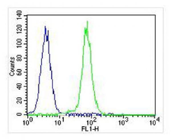 m00511 2 anti cdk5 antibody fc testing 4