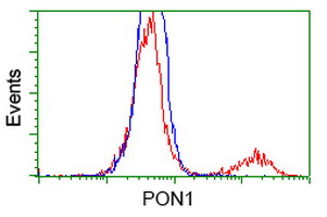 m00516 4 anti pon1 mouse monoclonal antibody clone id oti1f7 flow cytometry testing 10
