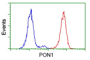 m00516 4 anti pon1 mouse monoclonal antibody clone id oti1f7 flow cytometry testing 11