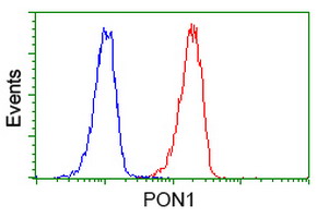 m00516 4 anti pon1 mouse monoclonal antibody clone id oti1f7 flow cytometry testing 12