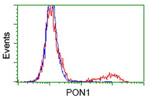 m00516 5 anti pon1 mouse monoclonal antibody clone id oti2d4 flow cytometry testing 5