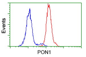 m00516 5 anti pon1 mouse monoclonal antibody clone id oti2d4 flow cytometry testing 6