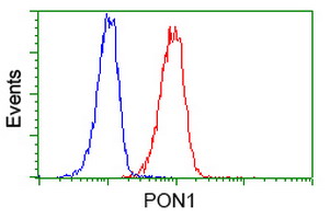 m00516 5 anti pon1 mouse monoclonal antibody clone id oti2d4 flow cytometry testing 7