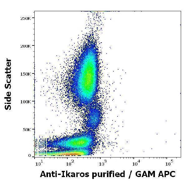 Flow cytometry intracellular staining pattern of human peripheral whole blood stained using anti-Ikaros (4E9) purified antibody (concentration in sample 8 µg/ml, GAM APC)