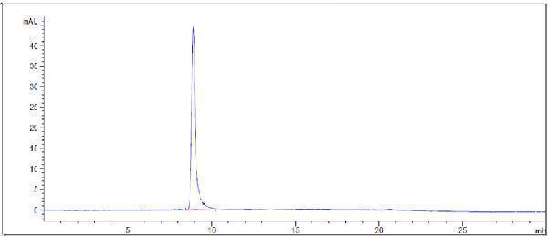 The purity of Anti-VEGFR1/FLT1 Reference Antibody (Abbott patent anti-Flt1)is more than 100%