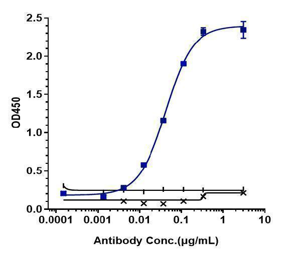 Immobilized human HER3 His at 2 &mug/mL can bind Anti-ERBB3/ HER3 Reference Antibody (patritumab deruxtecan)