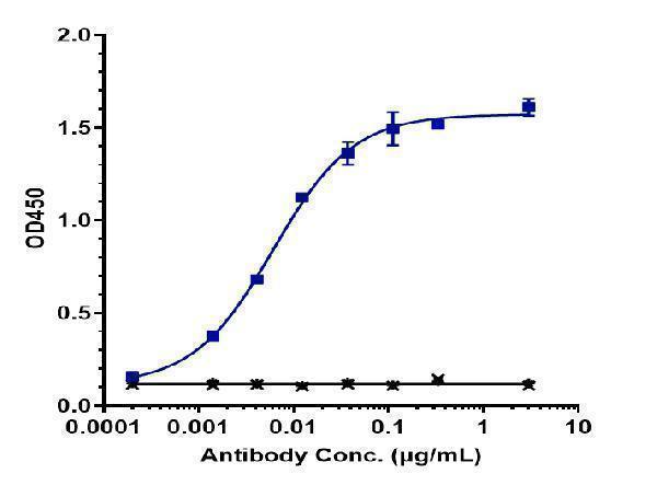 Immobilized human HER3 His at 2 &mug/mL can bind Anti-ERBB3/HER3 Reference Antibody (lumretuzumab)