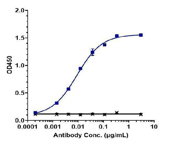 Immobilized human HER3 His at 2 &mug/mL can bind Anti-ERBB3/HER3 Reference Antibody (barecetamab)