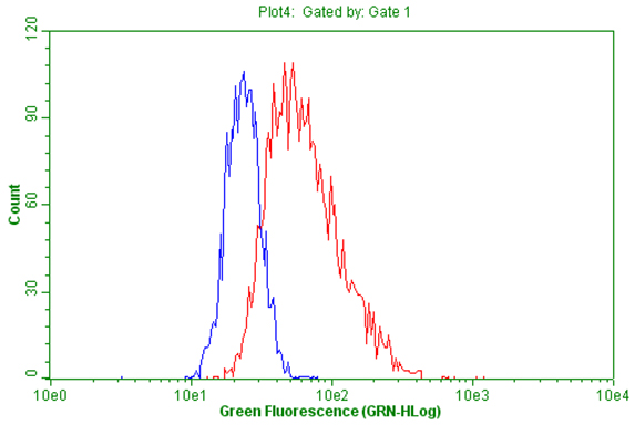 m00541 4 anti progesterone receptor pgr mouse monoclonal antibody clone id oti4b3 flow cytometry testing 5