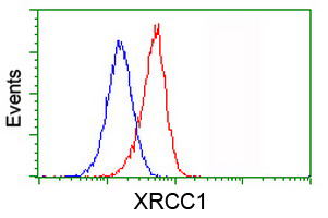 Flow cytometric Analysis of Jurkat cells