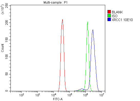  Flow Cytometry analysis of Hela cells using anti-XRCC1 antibody (M00571-2)