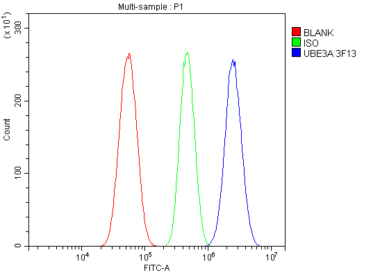  Flow Cytometry analysis of U87 cells using anti-UBE3A antibody (M00582-1)