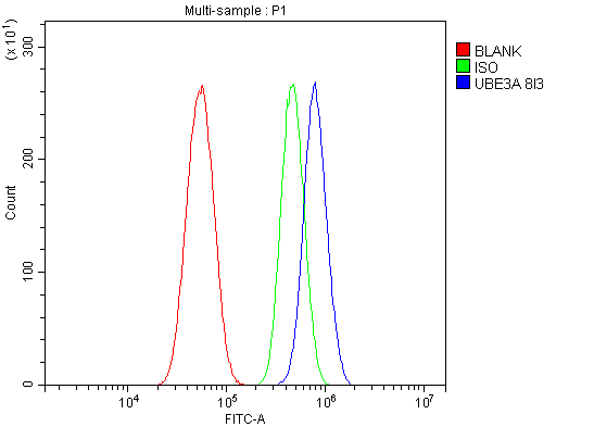  Flow Cytometry analysis of U87 cells using anti-UBE3A antibody (M00582-2)