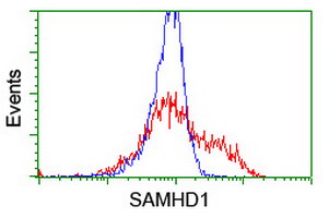 HEK293T cells transfected with either SAMHD1 (Myc-DDK-tagged) overexpress plasmid (Red) or empty vector control plasmid (Blue) were immunostained by anti-SAMHD1 antibody (M00592-1)