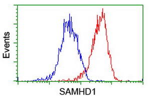 Flow cytometric Analysis of Hela cells