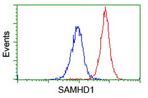 Flow cytometric Analysis of Jurkat cells