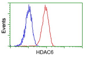 m00595 2 anti hdac6 mouse monoclonal antibody clone id oti4c5 flow cytometry testing 8