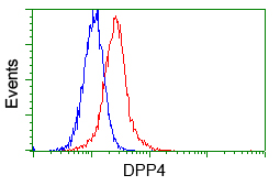 Flow cytometric analysis of Hela cells