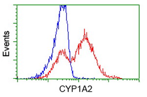m00598 1 anti cytochrome p450 1a2 cyp1a2 mouse monoclonal antibody clone id oti6e2 flow cytometry testing 13