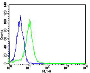 m00600 anti ppara antibody fc testing 5