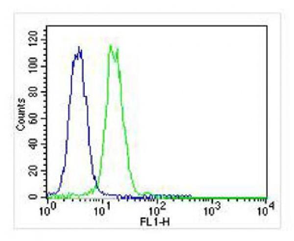 m00610 1 anti vcp antibody fc testing 4