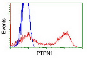 HEK293T cells transfected with either PTPN1 (Myc-DDK-tagged) overexpress plasmid (Red) or empty vector control plasmid (Blue) were immunostained by anti-PTPN1 antibody (M00613-1)