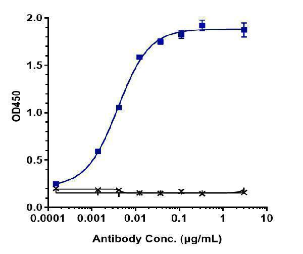 Immobilized human VEGFC His at 2 &mug/mL can bind Anti-VEGFC Reference Antibody (VGX100)