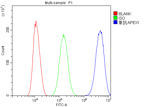  Flow Cytometry analysis of SiHa cells using anti-APE1 antibody (M00627)