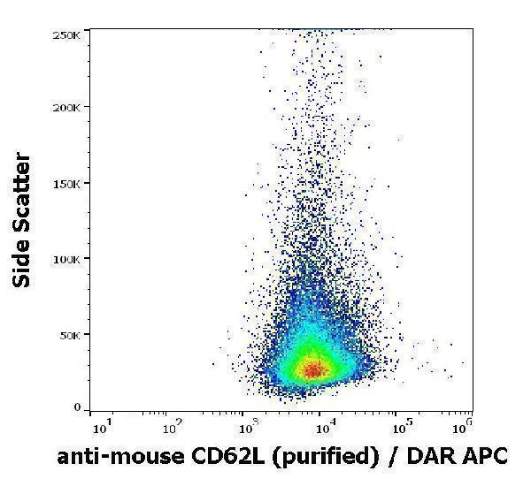 Flow cytometry surface staining pattern of murine splenocytes stained using anti-mouse CD62L (Mel-14) purified antibody (concentration in sample 4 µg/ml, DAR APC)