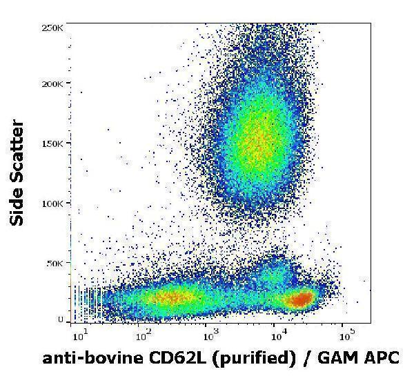 Flow cytometry surface staining pattern of bovine peripheral whole blood stained using anti-bovine CD62L (IVA94) purified antibody (concentration in sample 1 µg/ml) GAM APC