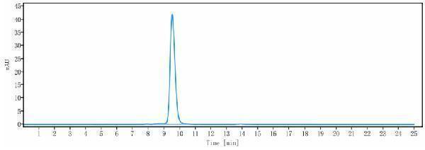 The purity of Anti-TIM-3/HAVCR2/CD366 Reference Antibody (sabatolimab)is more than 98