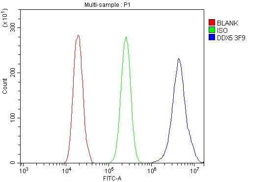 m00670 1 ddx5 primary antibodies fcm testing 9_1
