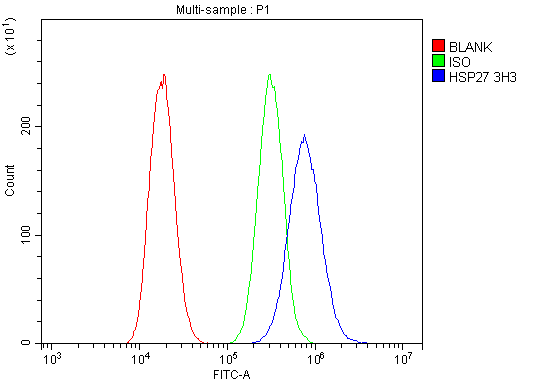 m00676 5 hsp27 primary antibodies fc testing 6