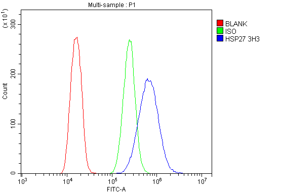 m00676 5 hsp27 primary antibodies fc testing 7