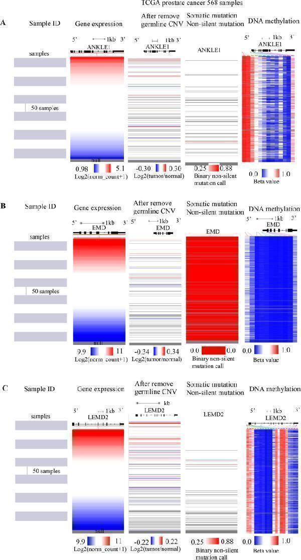 m00714 12957_2022_2640_fig8_html