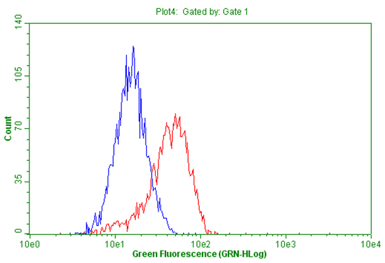 m00723 3 anti foxp1 mouse monoclonal antibody clone id oti3g3 flow cytometry testing 6