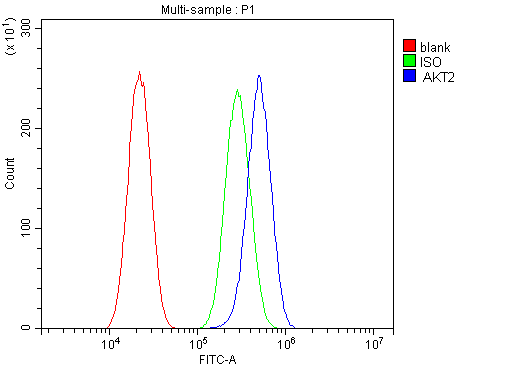 m00725 1 akt2 primary antibodies fcm testing 3