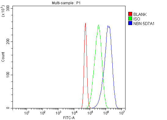 m00732 1 nbn primary antibodies fcm testing 4