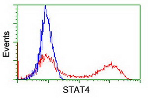 HEK293T cells transfected with either STAT4 (Myc-DDK-tagged) overexpress plasmid (Red) or empty vector control plasmid (Blue) were immunostained by anti-STAT4 antibody (M00734-1)