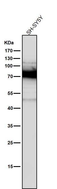 m00743 2 wb9