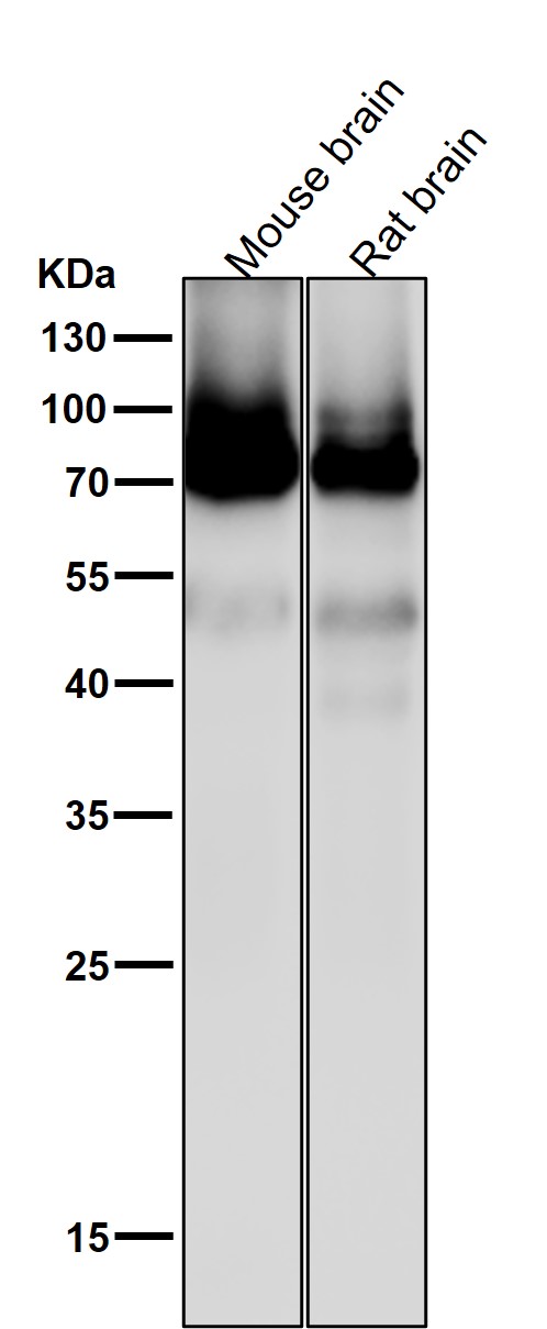 m00743 4 wb7