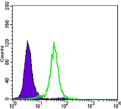 m00745 1 ccnb1 primary antibodies fcm testing 1