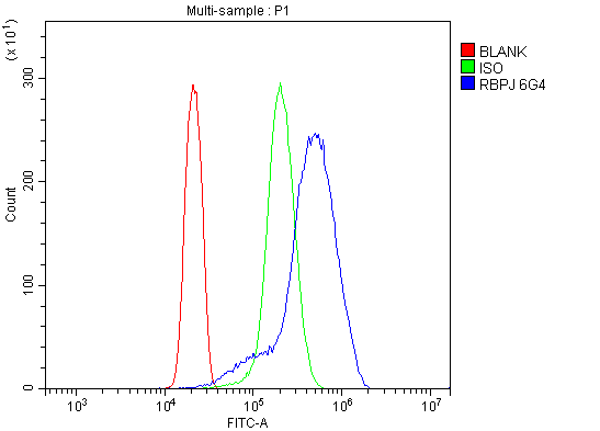 m00767 1 rbpj primary antibodies fcm testing 3