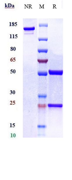 m00770 1 sds page