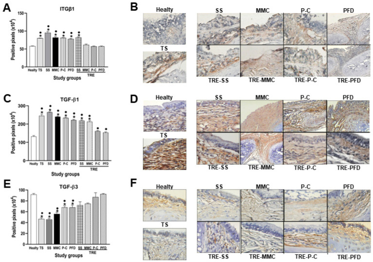 m00772 1 publication ijms 27 05332 g004