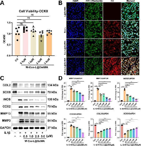 m00775 12951_2023_2050_fig3_html