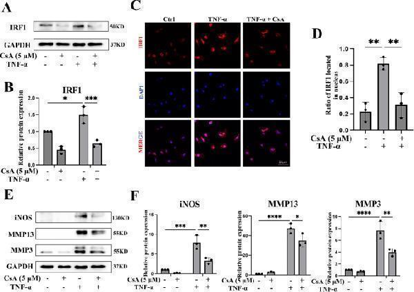 m00775 12964_2024_1744_fig7_html