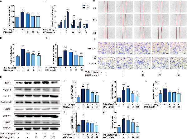 m00775 fphar 15 1435274 g003