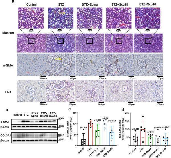 m00788 13659_2024_446_fig2_html