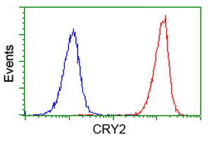 m00792 1 anti cry2 mouse monoclonal antibody clone id oti1h5 flow cytometry testing 11